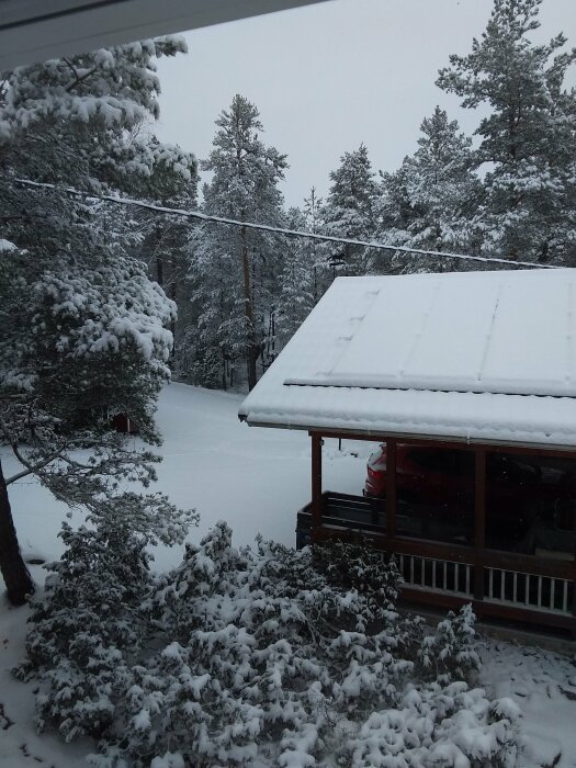 Snötyngda träd och ett snötäckt tak på en veranda, sett från ett fönster.