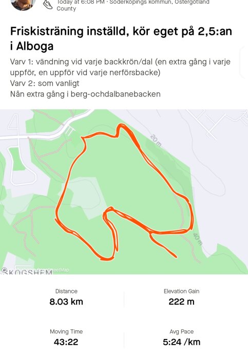 Skärmavbild av träningsapp med karta som visar en 8,03 km löprunda och träningsdata som elevation och tempo.