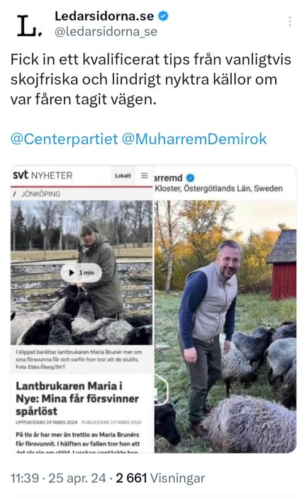 Skärmdump av nyhetsartikel om försvunna får, med en kvinna och en man poserar med får på en gård.