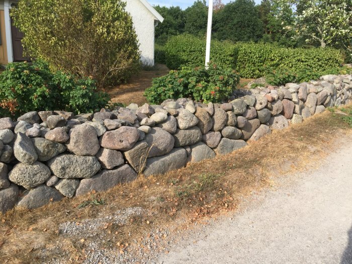 En kallmur av oregelbundna stenar utan bruk längs en trädgårdsväg, med buskar och hus i bakgrunden.