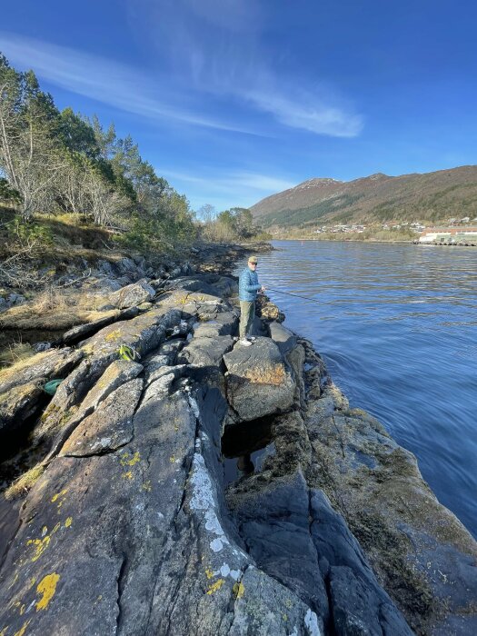 Person står på en klippa vid havet med skog och berg i bakgrunden.