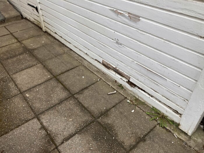 Förrådsvägg med skador nära marken intill betongplattor som kan behöva bättre isolering och fuktskydd.