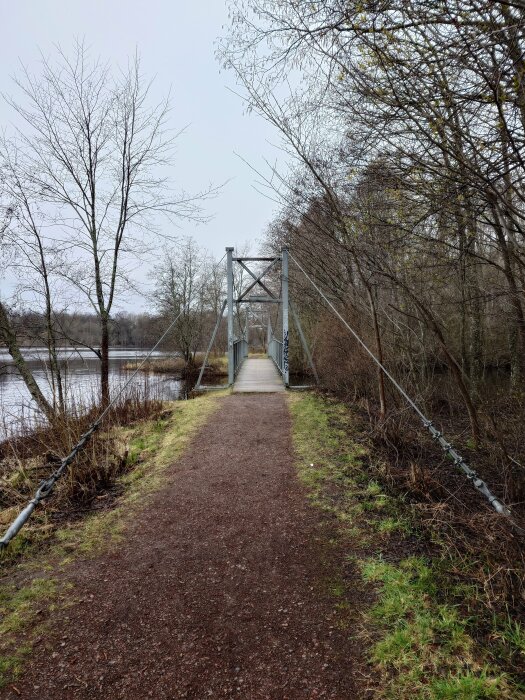 En hängbro över en flod med barträd och en grusväg som leder till bron.