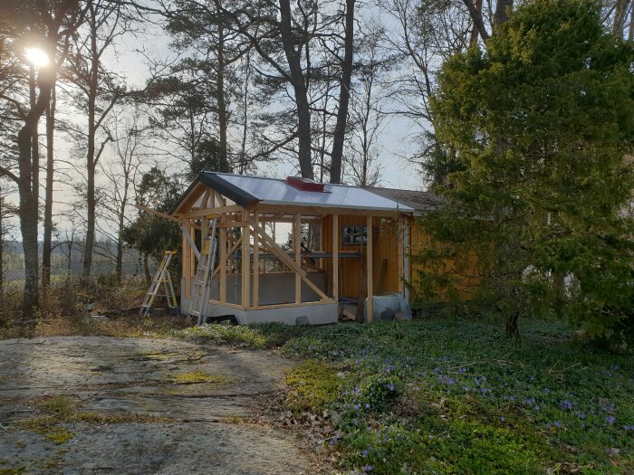 Växthus under konstruktion med pålagt tak, omgivet av träd och blommande markväxt i solljus.