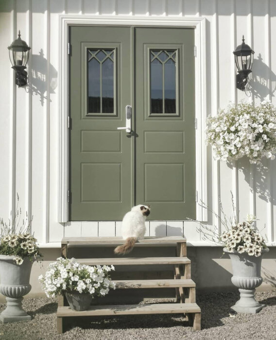 Grön dubbeldörr på vit husfasad med fönster och katt på trappan, omgiven av blomkrukor.