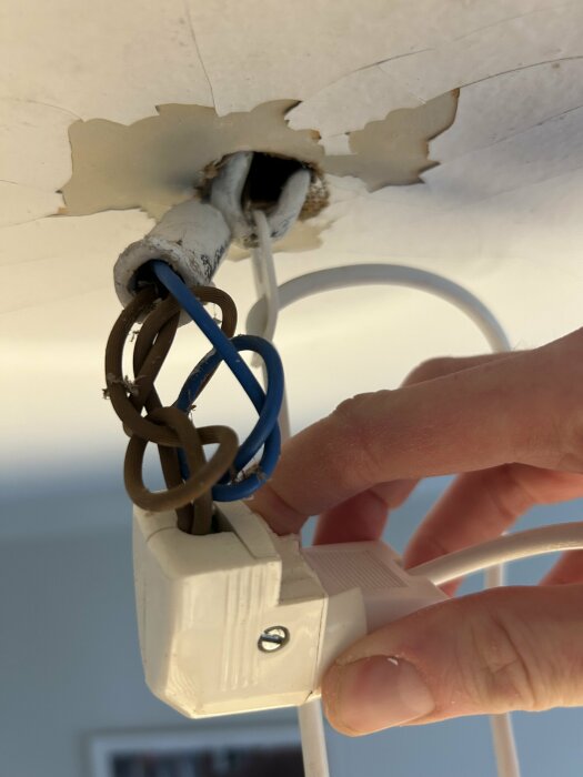 En hand som håller en taklampa med två bruna och en blå tråd som sticker ut från takuttaget.