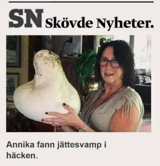 Kvinna håller i en mycket stor svamp med texten "Annika fann jättesvamp i häcken".