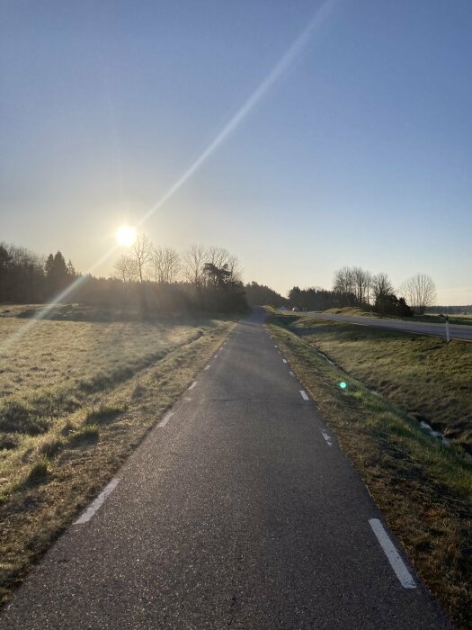 Solig vy av en cykelväg med träd och fält längs sidorna under en klar himmel.