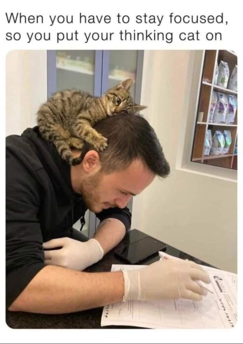 Person som koncentrerar sig på pappersarbete med en katt sovande på hans huvud.