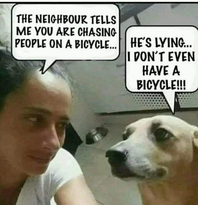 Kvinna och hund med pratbubblor som simulerar en konversation om att jaga människor på cykel.
