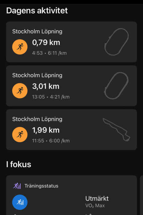 Skärmavbild av träningsapplikation med löpardistanser och rutter i Stockholm samt träningsstatus 'Utmärkt'.