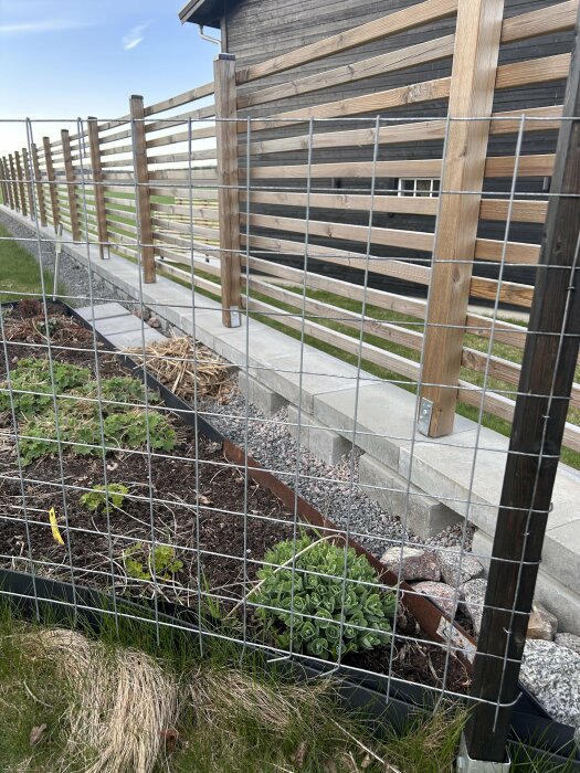 Tomtmark med lutande gräsmatta, staket och planteringsbäddar indikerar sjunkande mark från 2020.