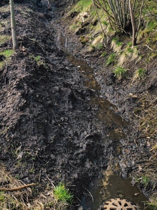 Dike med vatten och brunnslock omgivet av nyrensad, blöt jord och vegetation.