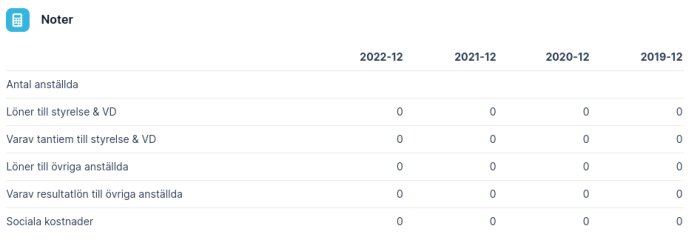 Skärmdump av företagsnyckeltal med nollvärden för personaluppgifter från 2019 till 2022.