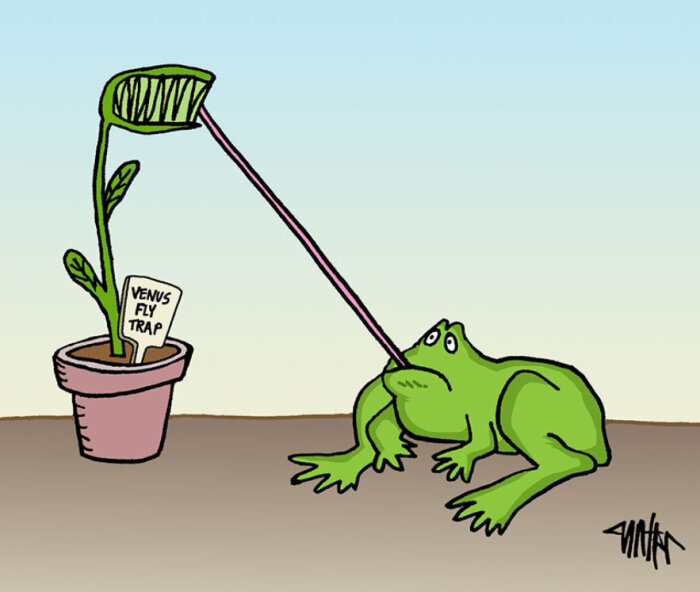 Illustration av en VFT-frös som fångar en förvånad groda med sin tångliknande utväxt.