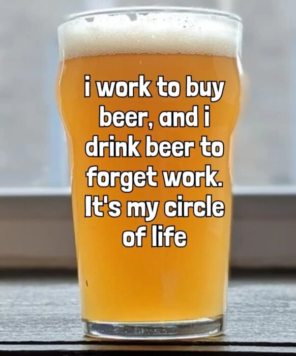 Ett glas öl med texten "i work to buy beer, and i drink beer to forget work. It's my circle of life".