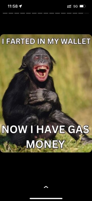 Skämtsam bild av en skrattande schimpans med texten "I farted in my wallet now I have gas money".