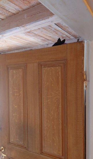 Svart föremål som syns bakom övre kanten på en öppen dörr nära taket.