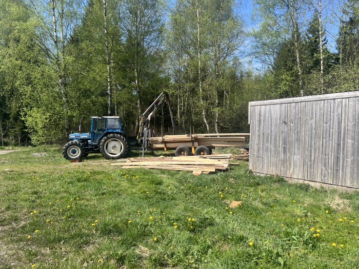 Nysågade plankor och brädor på marken framför en blå traktor och vedskjul i lummig skogsmiljö.