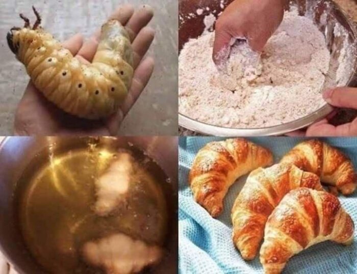 Kollage av fyra bilder som visar en larv, degblandning, larv i vätska och färdiga croissanter.