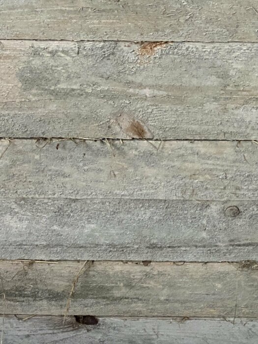Närbild av träbrädor med vita fläckar som kan vara mögel, tecken på fukt- eller svampangrepp i en lada.