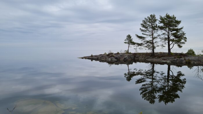 Lugn morgon vid Vänern med träd som speglas i det stilla vattnet på en klippig udde.