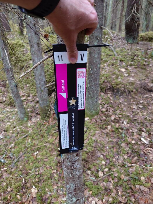 Hand som håller en orienteringstavla fastsatt på en trädstam i skogen.