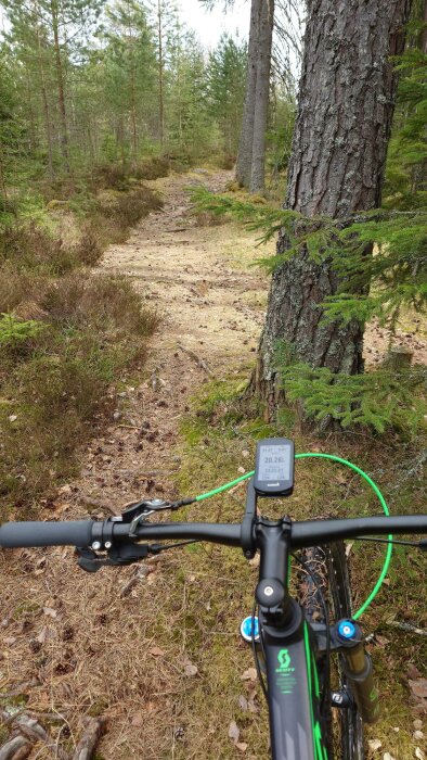 Mountainbikecykels styre med cykeldator som visar hastighet, sett mot en skogsstig.