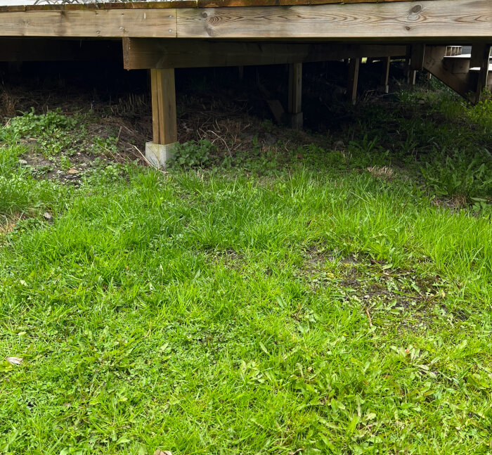 Del av en träkonstruktion på betongpelare med en gräsbevuxen mark som sluttar svagt nedåt.
