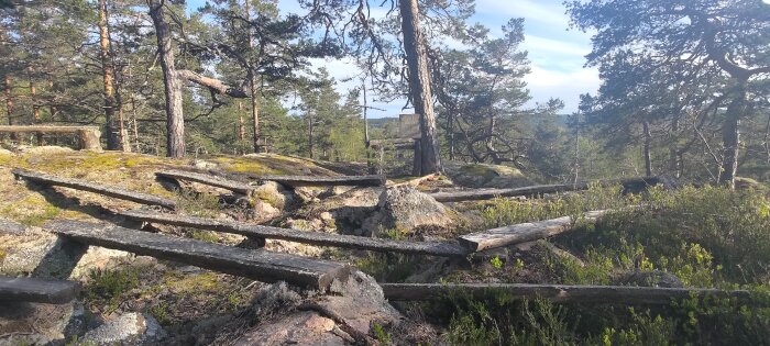 Gammalt söndervittrat trästaket i en solbelyst skog med mossbeklädda stenar.