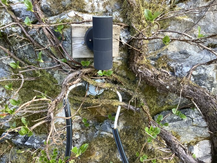 Spotlampa på träplatta monterad på bergvägg med fukt och viss vegetation runt omkring.