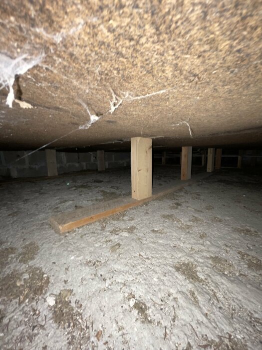 Träreglar som ligger ovanpå en betongyta under en byggnad med synlig spindelväv och skräp.