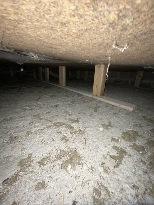 Utrymme under golv med träreglar på betong, ej ingjutna, synliga genom ventilationsöppning.