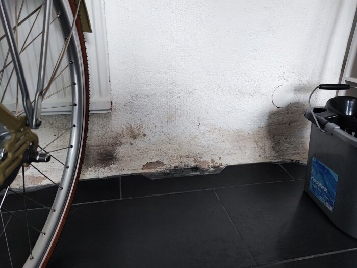 Fukt- och mögelskador längst ned på en vitmålad vägg med en cykeldel och hink i förgrunden.