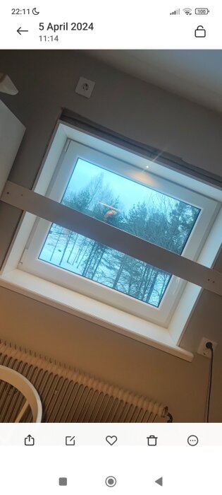 Inomhusvy av ett fönster med träd och snö synligt utomhus, vit fönsterfoder inuti och en radiator under fönstret.