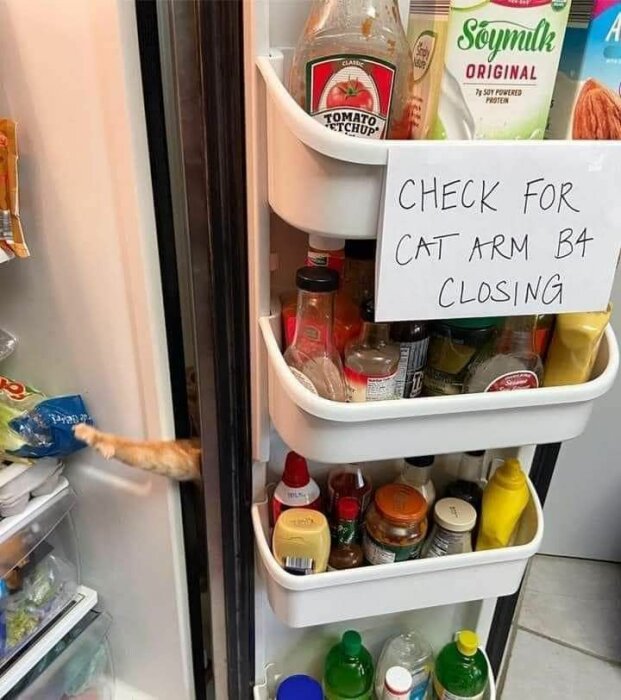 Kattarm sticker ut från kylskåp med lapp som säger "Kontrollera kattarm innan stängning".