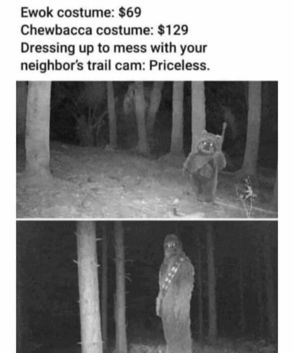Två svartvita bilder av personer i Ewok- och Chewbacca-kostymer på nattkamera i skogen.