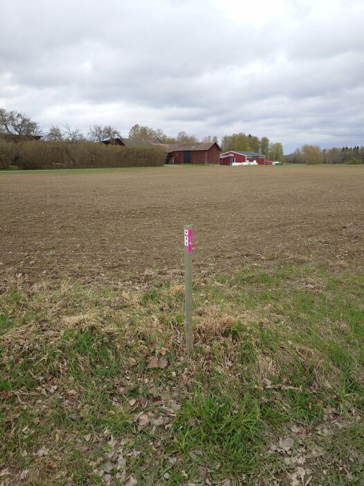 Utmarkerad tomt med en pinne och rosa markering framför åker och lador i bakgrunden under en molnig himmel.