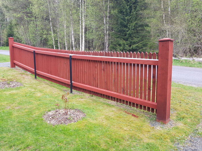 Nymålat rödbrunt staket längs en grön gräsmatta med skog i bakgrunden.