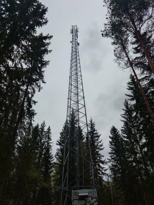 Hög mobiltelefonmast omgiven av träd mot en gråmolnig himmel.