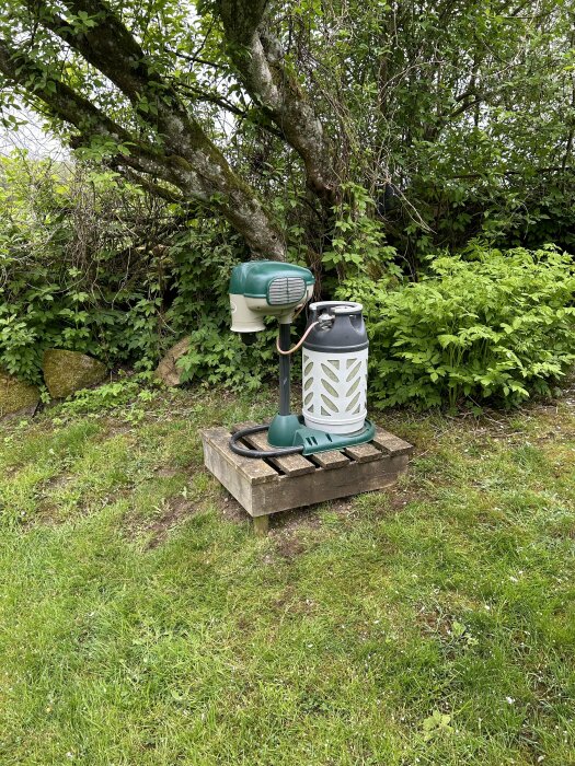 En automatisk foderstation för vilt placerad på en gräsmatta med träd och buskar i bakgrunden.