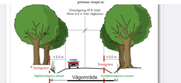 Illustration som visar ansvarsområden för träd vid tomtgräns med minsta fri höjd över vägbanan.