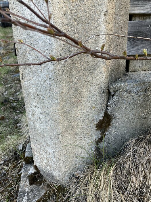 Betongpelare nära träplank, ca 30-40 cm i diameter, visas delvis med omgivande gräs och grenar.