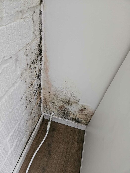 Mögelskador i hörnet av ett rum där vägg möter golvet, synlig på den målade ytan och tegelvägg.