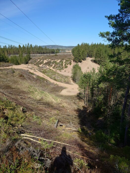 Vy över ett avverkat skogsområde med sandig mark och högspänningsledningar mot en klarblå himmel.