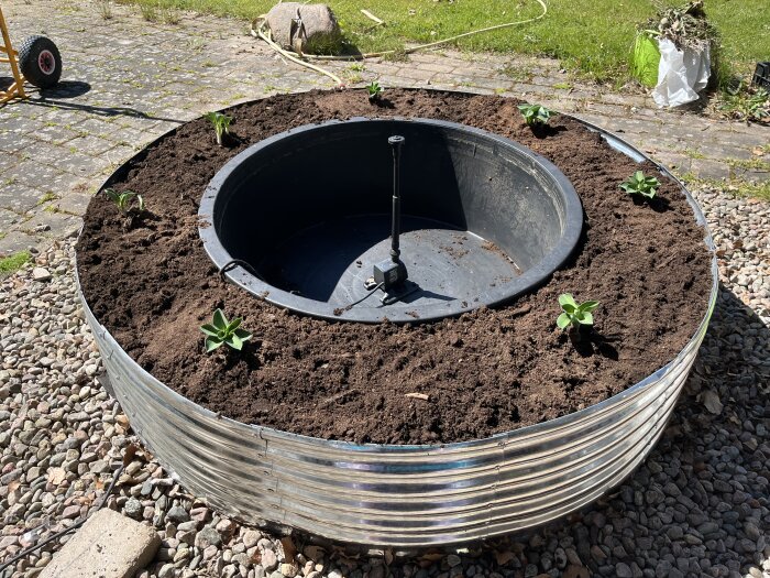 Tom dammbalja med nyplanterade växter i jord runt omkring, redo för vår och vatten.