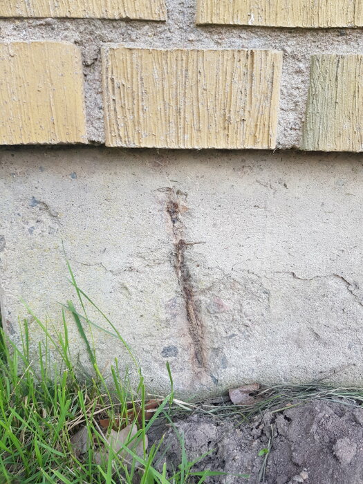 Spricka i husgrundens betong nära tegelvägg med synligt fuktmärke och gräs i förgrunden.