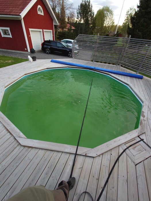 Algbelagd pool med igångsatt cirkulation, håv vid kanten, på en trädäck med röd stuga och bil i bakgrunden.