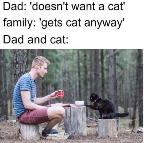 Man och svart katt sitter på stubbar i skogen, mannen håller en röd mugg och katten kollar på.