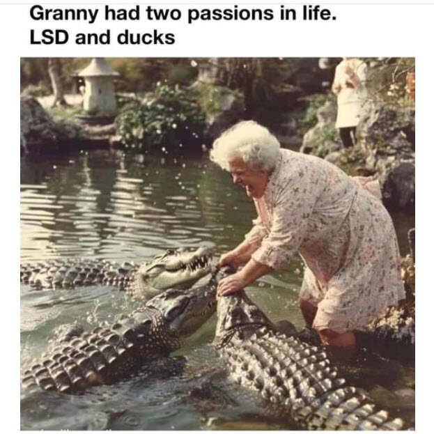 Äldre kvinna i blommig klänning som skrattande petar på nosen av en stor krokodil vid en damm, med texten "Granny had two passions in life. LSD and ducks".